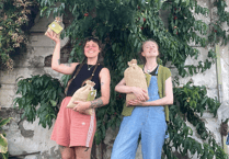 Hay Regenerative Soils needs your help to tackle climate change in Hay-on-Wye