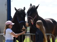 New Heavy Horse and Hound Village at Winter Fair