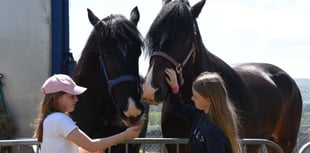 New Heavy Horse and Hound Village at Winter Fair