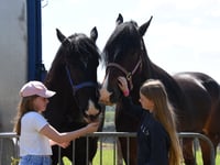 New Heavy Horse and Hound Village at Winter Fair
