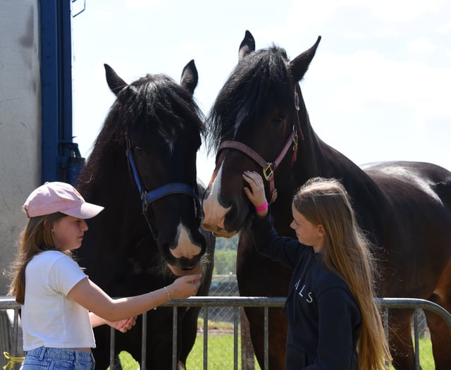 New Heavy Horse and Hound Village at Winter Fair