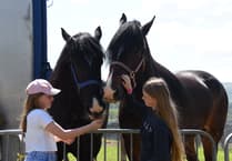 New Winter Fair feature pays tribute to Wales’ working animals