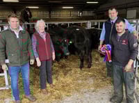 Champions crowned at Brecon Market show