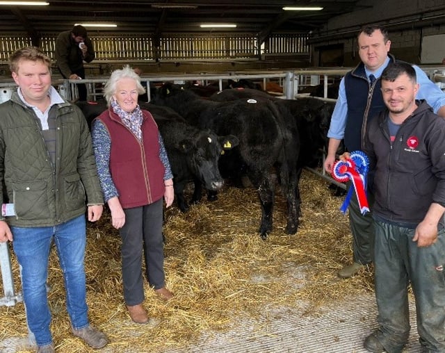 Champions crowned at Brecon Market show