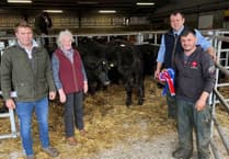 Champions crowned at Brecon Market show