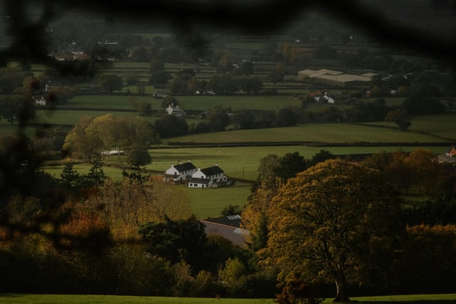 Public feedback on council farm policy to be discussed