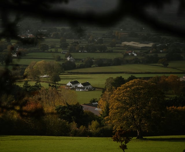 Public feedback on council farm policy to be discussed