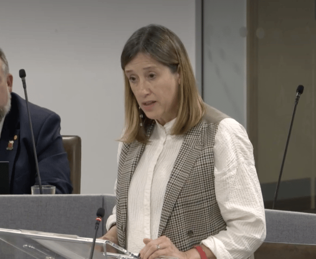 Plans needed to cut child poverty in Wales, warns Jane Dodds MS