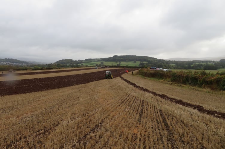 Club members set their furrows in near-perfect conditions after recent rain
