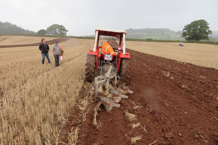 The tractors made light work of the corn stubble field at Aberbran Fawr