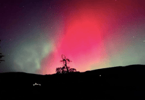 Readers' best lights at night photography!