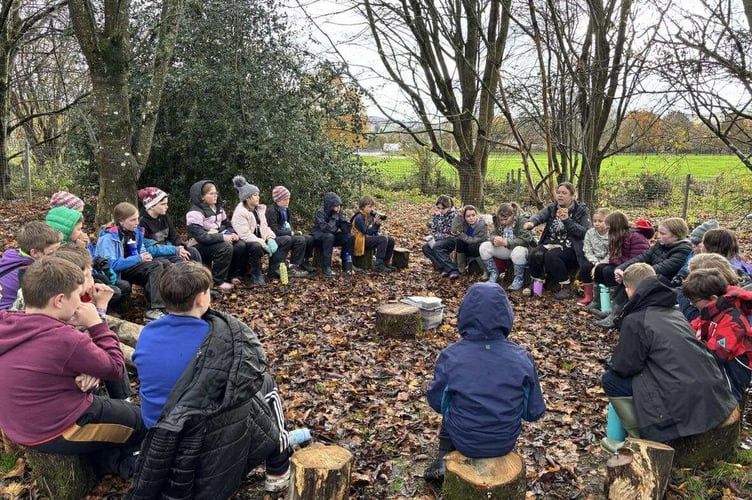Llanelwedd pupils take part in outdoor learning as part of Forest School