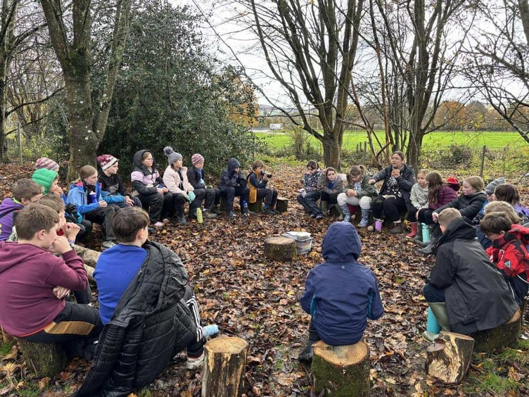 Llanelwedd pupils take part in outdoor learning as part of Forest School