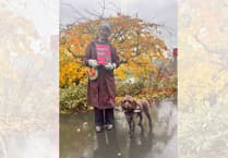 Dog fouling poses rising health risk as nights draw in, warns county council