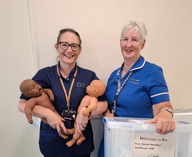 Health charity steps up for new mothers and babies