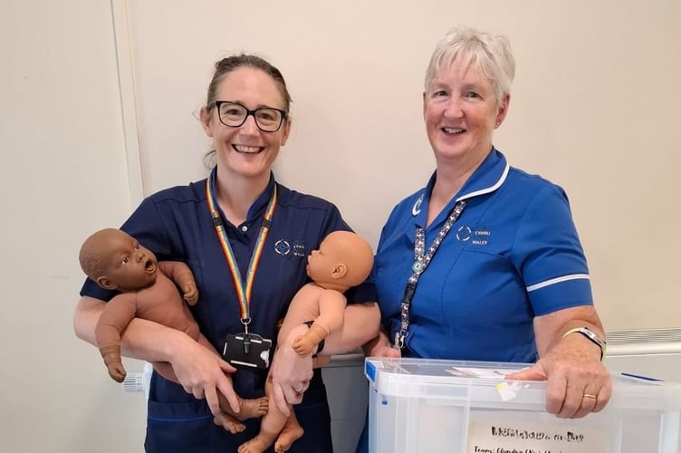 Consultant midwife Shelly Higgins and Practice Development Midwife Suzanne Pard Bouchard