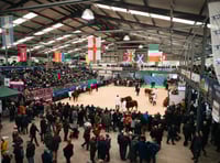 Festive cheer at the Royal Welsh Winter Fair this November 
