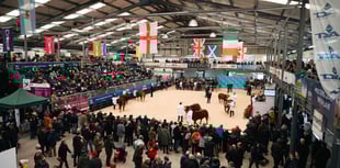 Festive cheer at the Royal Welsh Winter Fair this November 