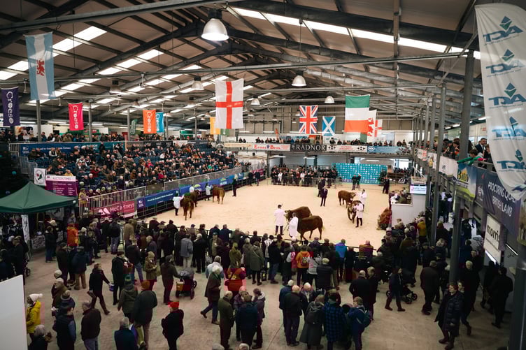 Royal Welsh Winter Fair