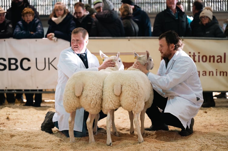 The Royal Welsh Winter Fair