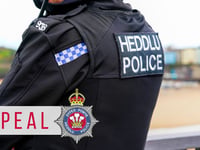Man dies after A489 crash near Caersws