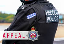 Man dies after A489 crash near Caersws