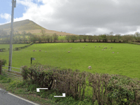 40 lambs taken from enclosed farmland near Talgarth