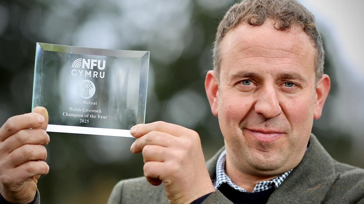 Sennybridge farmer named Welsh Livestock Champion of the Year