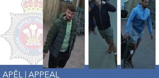 Police release images after £500 theft at garden centre near Brecon