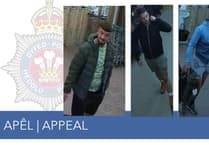 Police release images after £500 theft at garden centre near Brecon
