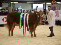 Who were the big winners at the Winter Fair?