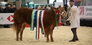 Who were the big winners at the Winter Fair?