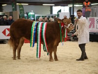 Who were the big winners at the Winter Fair?