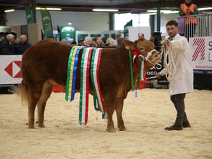 Who were the big winners at the Winter Fair?