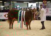 Who were the big winners at the Winter Fair?