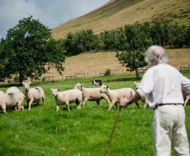 Powys farmers seek advice on succession