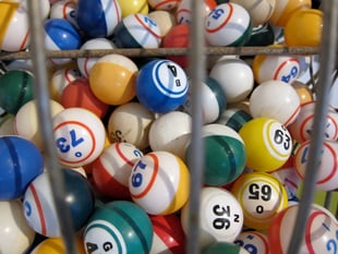 St David's Day BINGO at leisure centre