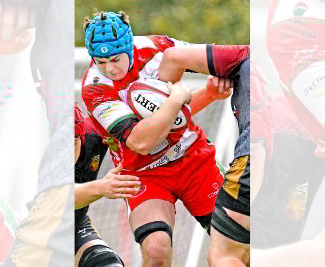 Double bonus point delight for Drovers again