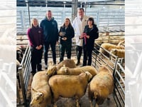 Champions crowned at Brecon Christmas Fatstock Show