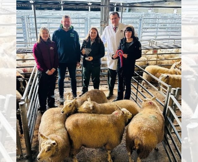 Champions crowned at Brecon Christmas Fatstock Show