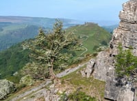 Powys councillors unanimously reject Glyndŵr National Park proposal