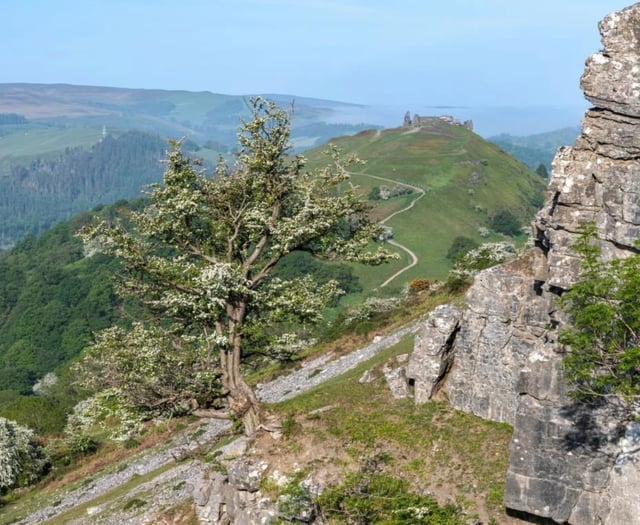 Powys councillors unanimously reject Glyndŵr National Park proposal
