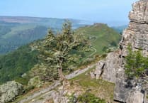 Powys councillors unanimously reject Glyndŵr National Park proposal
