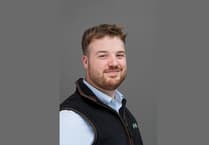 NFU Cymru column: Welsh public continue to back Welsh farming this winter