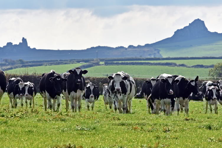 The FUW has raised concerns over the impact of dropping milk prices on family-run dairy farms in Wales