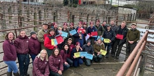 Strong demand for Christmas fatstock at Knighton Market