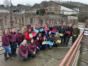 Strong demand for Christmas fatstock at Knighton Market
