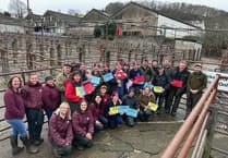 Strong demand for Christmas fatstock at Knighton Market