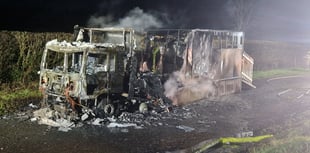 Driver and horse escape unhurt as horsebox destroyed in Libanus blaze
