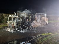 Driver and horse escape unhurt as horsebox destroyed in Libanus blaze